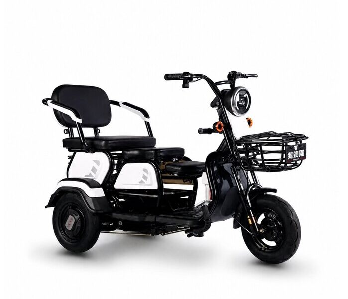 3 Wheeler Electric Bike Motor Electr Adult Tricycle 50km/H Adult Electric Tricycle Mobility Scooter Elderly
