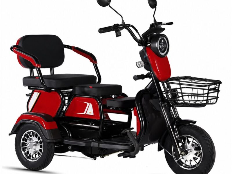 3 Wheeler Electric Bike Motor Electr Adult Tricycle 50km/H Adult Electric Tricycle Mobility Scooter Elderly