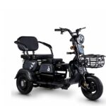3 Wheeler Electric Bike Motor Electr Adult Tricycle 50km/H Adult Electric Tricycle Mobility Scooter Elderly - image 4