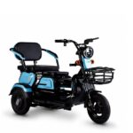 3 Wheeler Electric Bike Motor Electr Adult Tricycle 50km/H Adult Electric Tricycle Mobility Scooter Elderly - image 6