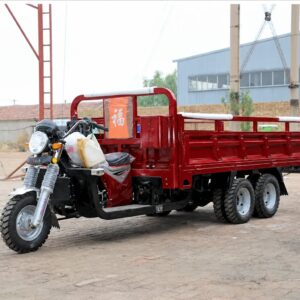 350cc Gasoline Motor Tricycle 9 Wheel Cargo Tricycle 350cc Water Cooling Customized Double Wheel