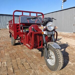 350cc Hibridos Petroleo Motocarga Motocicleta De 9 Ruedas 9 wheels Tricycle a Essence