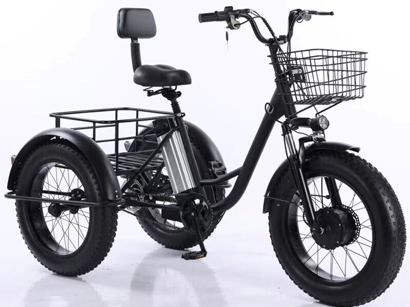 350W Lithium Battery 20*4 Inch Fat Tire 3 Wheel Electric Tricycle With Basket 3 Wheel Electric Cargo Bike