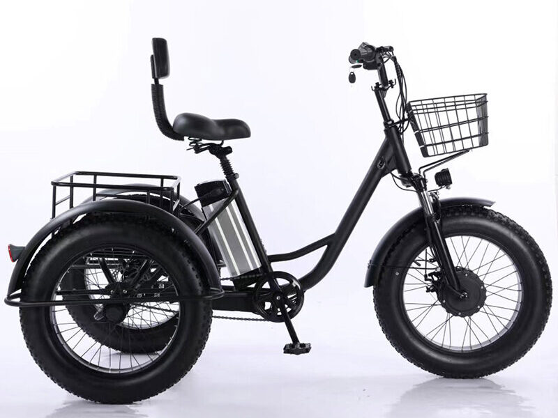 350W Lithium Battery 20*4 Inch Fat Tire 3 Wheel Electric Tricycle With Basket 3 Wheel Electric Cargo Bike