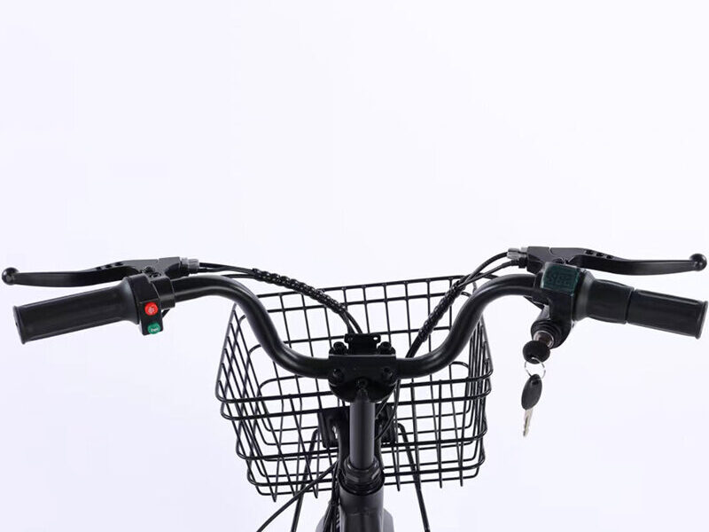 350W Lithium Battery 20*4 Inch Fat Tire 3 Wheel Electric Tricycle With Basket 3 Wheel Electric Cargo Bike