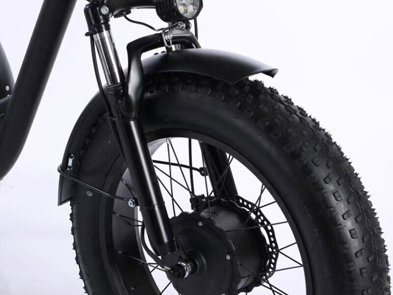 350W Lithium Battery 20*4 Inch Fat Tire 3 Wheel Electric Tricycle With Basket 3 Wheel Electric Cargo Bike