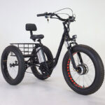 350W Lithium Battery 20*4 Inch Fat Tire 3 Wheel Electric Tricycle With Basket 3 Wheel Electric Cargo Bike - image 2
