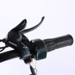 350W Lithium Battery 20*4 Inch Fat Tire 3 Wheel Electric Tricycle With Basket 3 Wheel Electric Cargo Bike - image 5