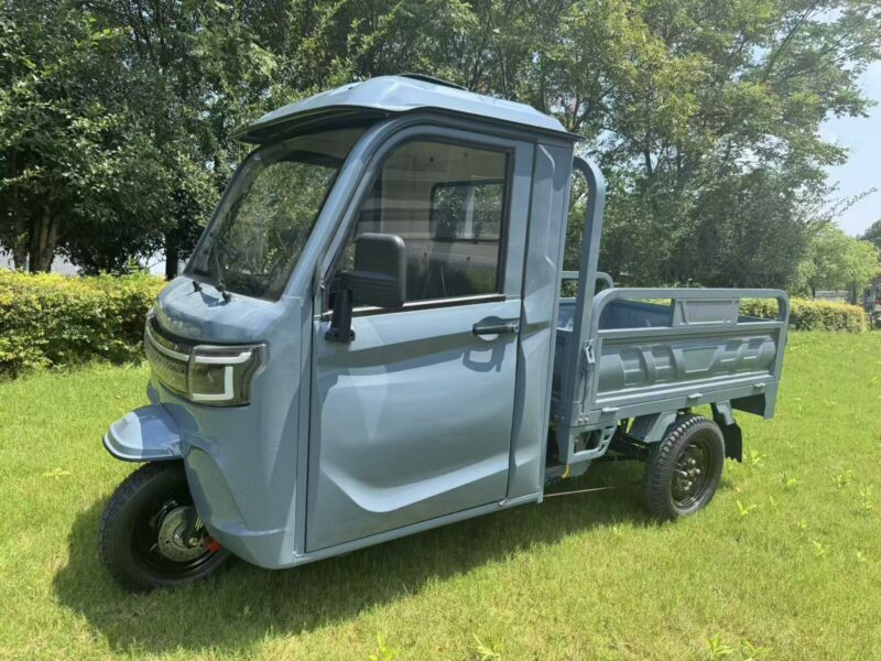3PLUS Hot Selling EEC COC DOT CE Electric Cargo Enclosed Mobility Tricycle 3000W 45KM/H Tuk Tuk for Adults