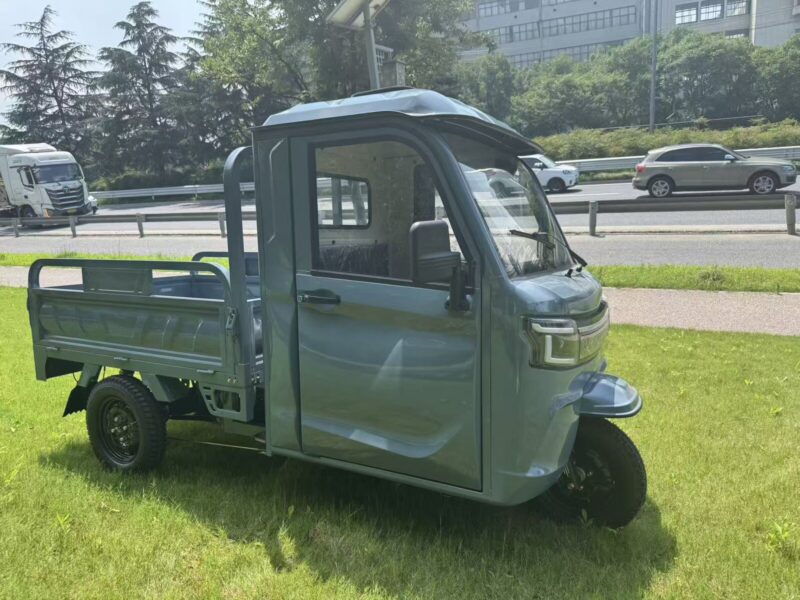 3PLUS Hot Selling EEC COC DOT CE Electric Cargo Enclosed Mobility Tricycle 3000W 45KM/H Tuk Tuk for Adults