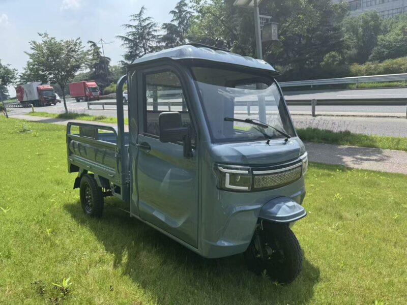 3PLUS Hot Selling EEC COC DOT CE Electric Cargo Enclosed Mobility Tricycle 3000W 45KM/H Tuk Tuk for Adults