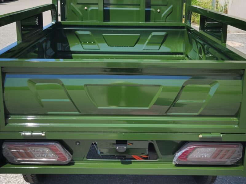 3PLUS Hot Selling EEC COC DOT CE Electric Cargo Enclosed Mobility Tricycle 3000W 45KM/H Tuk Tuk for Adults