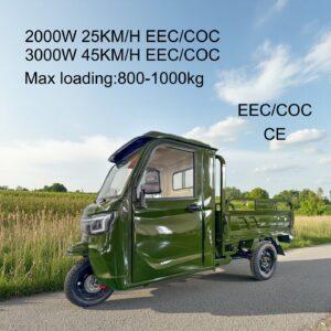 3PLUS Hot Selling EEC COC DOT CE Electric Cargo Enclosed Mobility Tricycle 3000W 45KM/H Tuk Tuk for Adults