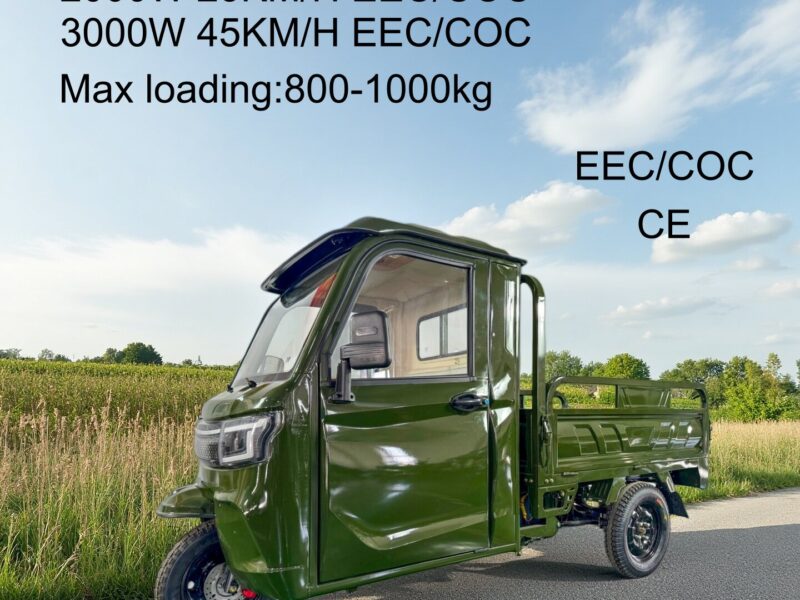 3PLUS Hot Selling EEC COC DOT CE Electric Cargo Enclosed Mobility Tricycle 3000W 45KM/H Tuk Tuk for Adults