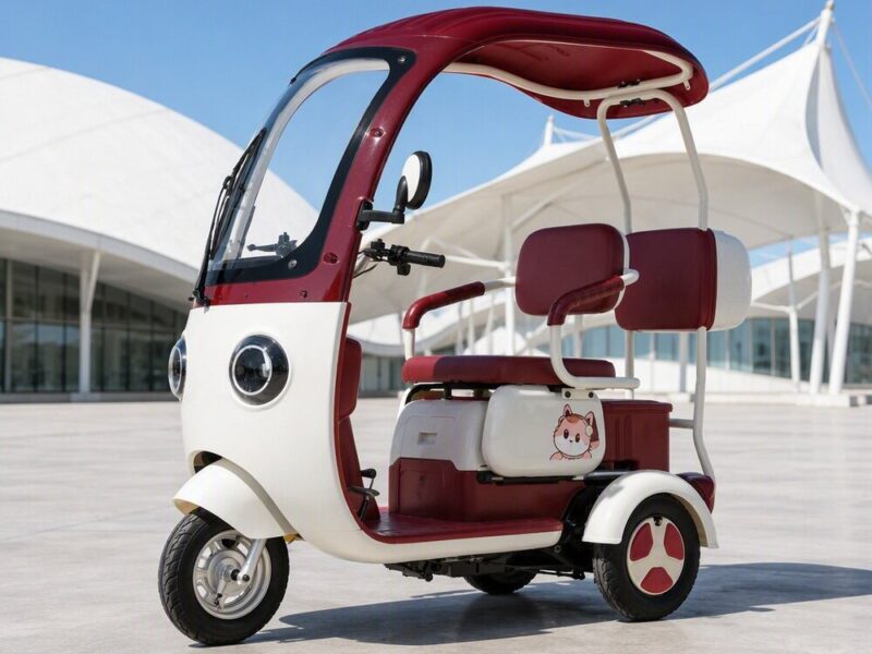 Cheap Beautiful 3 Wheel Electric Pedal Scooter Chopper Tricycle Prices for 2 Adults Passenger Seat Sale at Home with Roof
