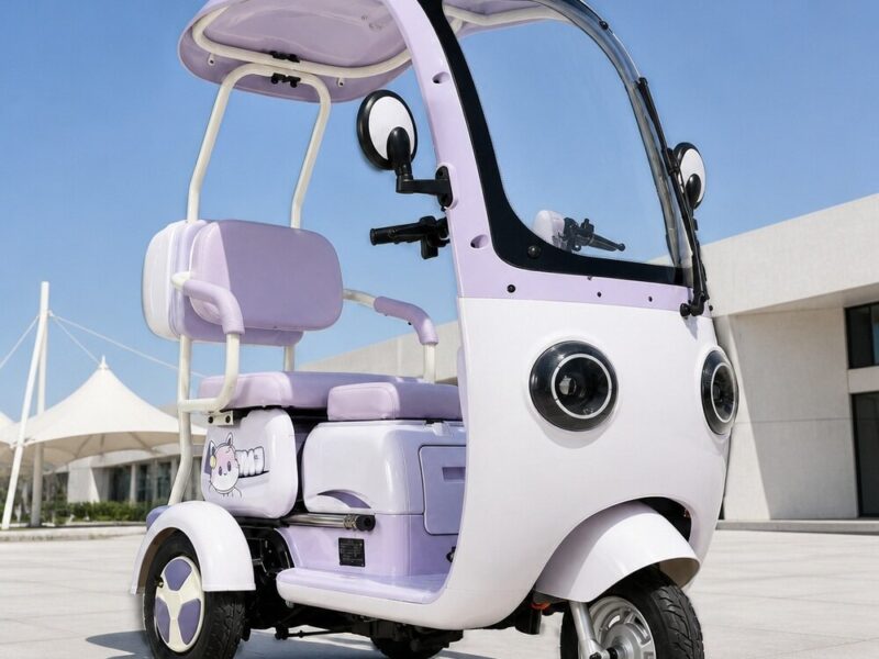 Cheap Beautiful 3 Wheel Electric Pedal Scooter Chopper Tricycle Prices for 2 Adults Passenger Seat Sale at Home with Roof