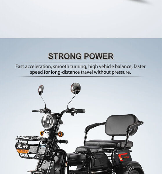 48V Two Seat Electric Tricycle 501-800W Adult Three Wheel Passenger Bike Open Body Front Basket