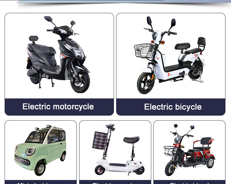 48V Two Seat Electric Tricycle 501-800W Adult Three Wheel Passenger Bike Open Body Front Basket