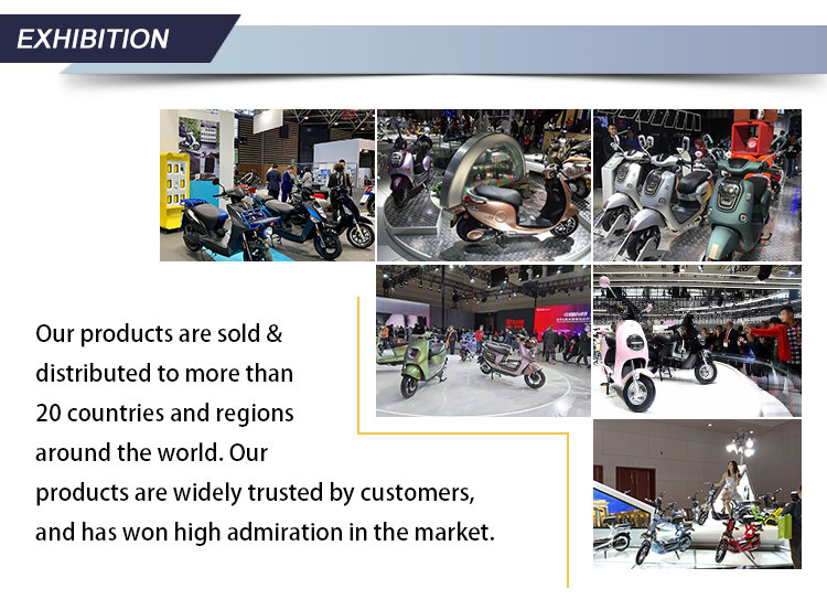 48V Two Seat Electric Tricycle 501-800W Adult Three Wheel Passenger Bike Open Body Front Basket