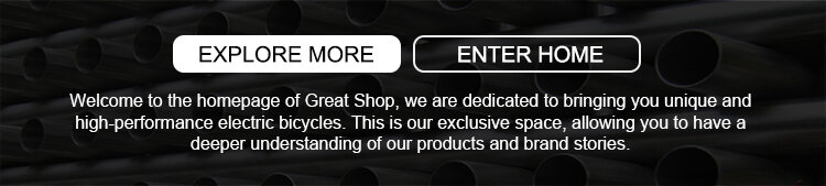 48V Two Seat Electric Tricycle 501-800W Adult Three Wheel Passenger Bike Open Body Front Basket