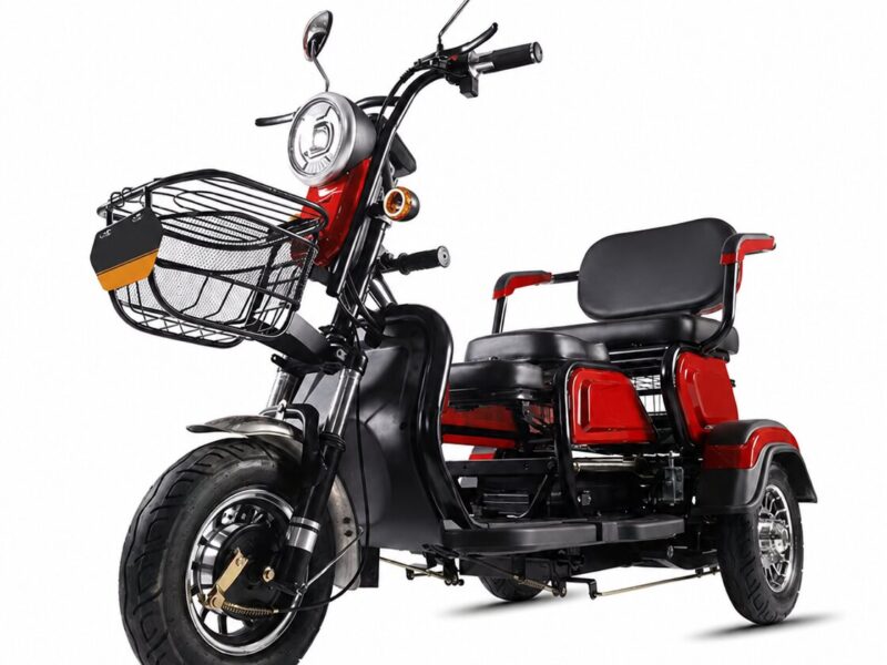 48V Two Seat Electric Tricycle 501-800W Adult Three Wheel Passenger Bike Open Body Front Basket