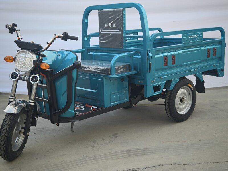 500-1000w Customizable Three Wheel Long Battery Life Brushless Electric Trike Tricycle