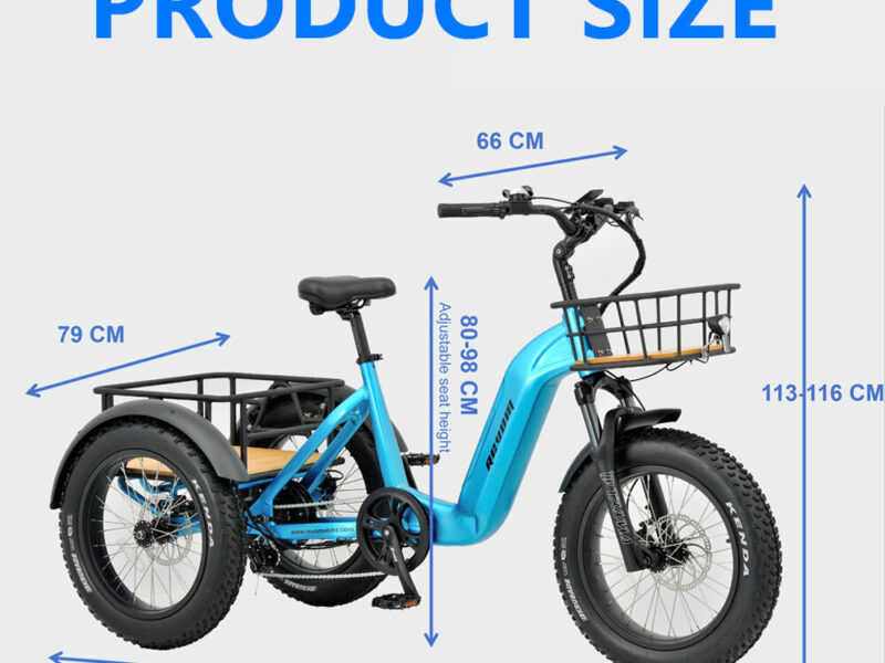 500W 3 Wheel Cargo Electric Bike 20 Inch Electric Tricycle for Adults