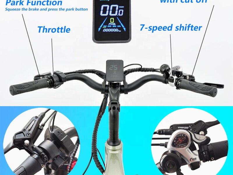 500W 3 Wheel Cargo Electric Bike 20 Inch Electric Tricycle for Adults