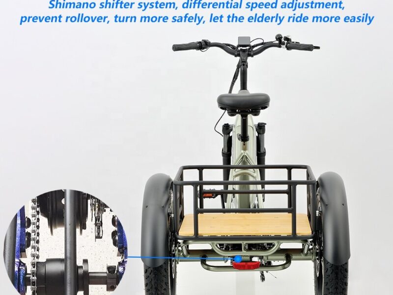 500W 3 Wheel Cargo Electric Bike 20 Inch Electric Tricycle for Adults