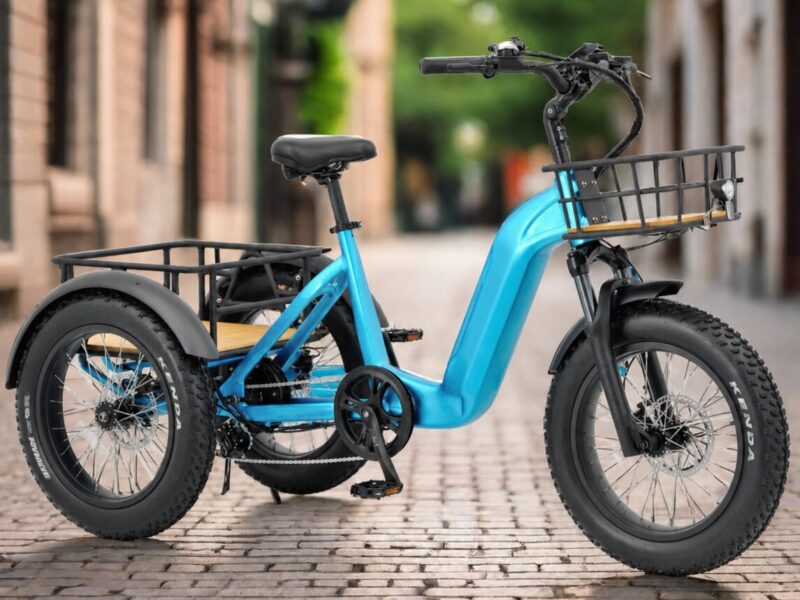 500W 3 Wheel Cargo Electric Bike 20 Inch Electric Tricycle for Adults