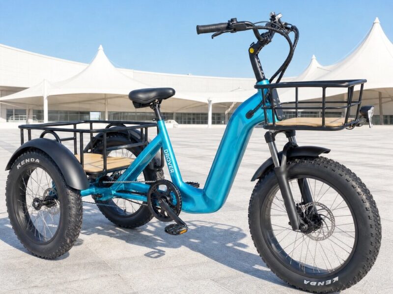 500W 3 Wheel Cargo Electric Bike 20 Inch Electric Tricycle for Adults