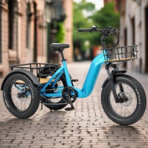 500W 3 Wheel Cargo Electric Bike 20 Inch Electric Tricycle for Adults