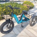500W 3 Wheel Cargo Electric Bike 20 Inch Electric Tricycle for Adults - image 2