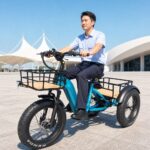 500W 3 Wheel Cargo Electric Bike 20 Inch Electric Tricycle for Adults - image 4