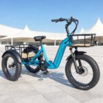 500W 3 Wheel Cargo Electric Bike 20 Inch Electric Tricycle for Adults - image 5