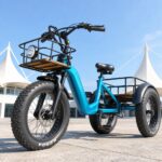 500W 3 Wheel Cargo Electric Bike 20 Inch Electric Tricycle for Adults - image 6