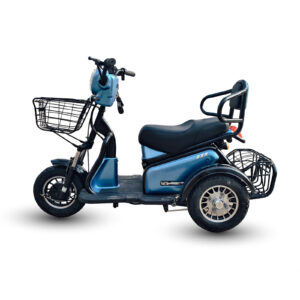 500w Open Body Electric Tricycle 3 Wheel Scooter 2 Seats Electric Mobility Trike Outdoor for Adult Daily Errands