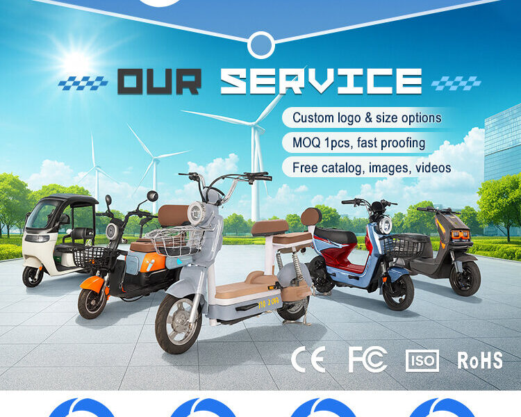 600W-1000W Electric Tricycles Cargo Truck for Adult Electric Trike Electric 3 Wheels Vehicle Open Body