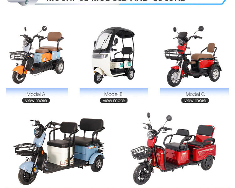 600W-1000W Electric Tricycles Cargo Truck for Adult Electric Trike Electric 3 Wheels Vehicle Open Body