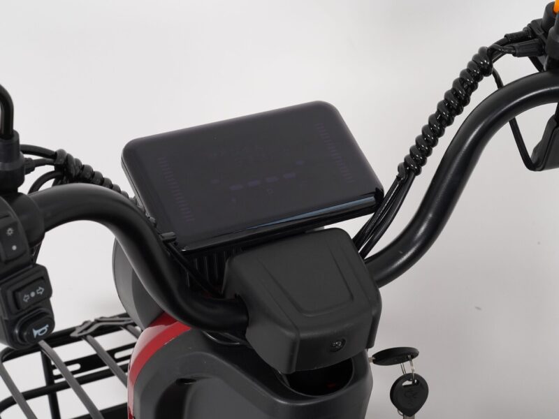 600W-1000W Electric Tricycles Cargo Truck for Adult Electric Trike Electric 3 Wheels Vehicle Open Body