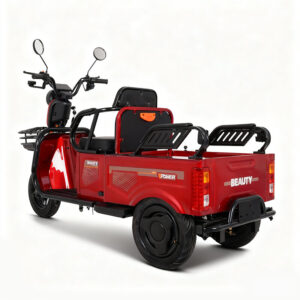 600W-1000W Electric Tricycles Cargo Truck for Adult Electric Trike Electric 3 Wheels Vehicle Open Body