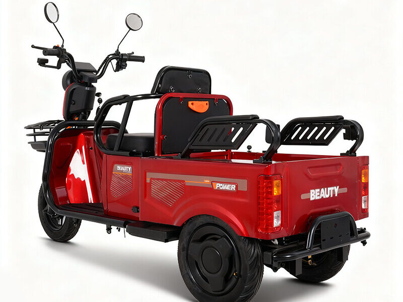 600W-1000W Electric Tricycles Cargo Truck for Adult Electric Trike Electric 3 Wheels Vehicle Open Body