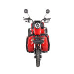 600W-1000W Electric Tricycles Cargo Truck for Adult Electric Trike Electric 3 Wheels Vehicle Open Body - image 6