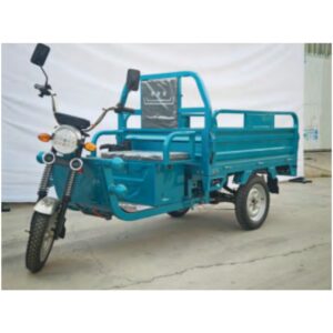 600w 3 Wheel Electric Cargo Tricycle