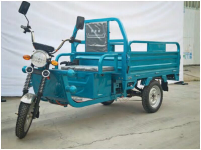 600w 3 Wheel Electric Cargo Tricycle