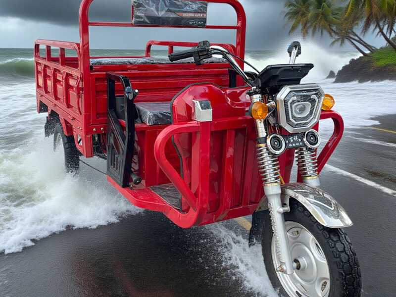 60V/1000W Electric Dumper Tricycle for Adults 3-Wheel Cargo Trike for Urban Commute Transport Express Motorcycles Delivery Truck