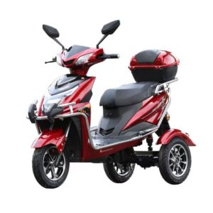 60V 1000W Electric Tricycle Scooter 3 Wheel Adult Cargo Trike 30-50km/h High Speed Dual Rear Wheels Open Top Box Wholesale