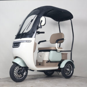 60V 1000W Long Range Electric Tricycle