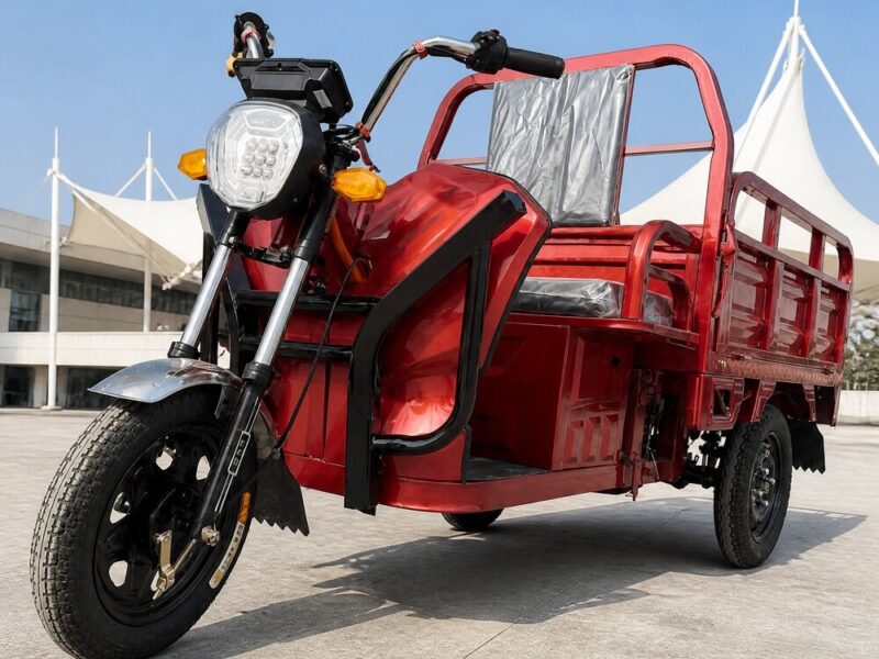 60V Cargo Electric Tricycle 501-800W Open Body Three Wheel Utility Vehicle 90km Range 54km/h Speed 25 Degree Climbing DOT