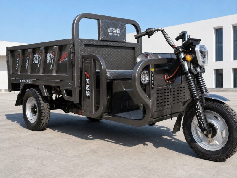 60V Cargo Electric Tricycle Over 1000W Motor Open Body Three Wheel Utility Vehicle 54km/h 90km Range DOT